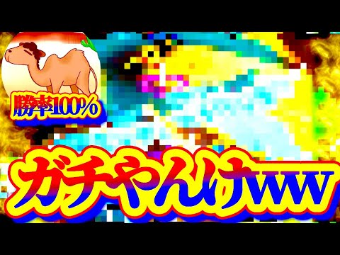 ハリーと勝率100%の裏技やってみたw【バウンティラッシュ】