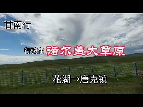 甘南行 行驶在 诺尔盖大草原 花湖→唐克镇2024.6.23