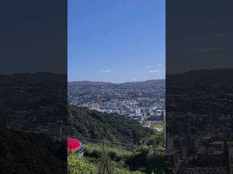 MOUNT VICTORIA SUMMIT, WELLINGTON, NEW ZEALAND #shortsfeed #shorts #short #shortvideo #nztravel