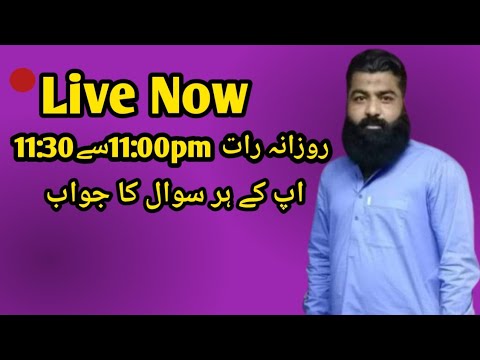 Daily live at 11:00pm to 11:30