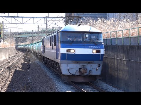 EF210-7牽引　4091レ　北府中駅　2024.02.13撮影