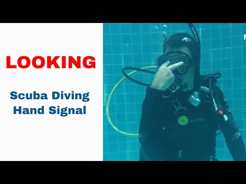 Looking Sign 👀 Scuba Diving Hand Signal