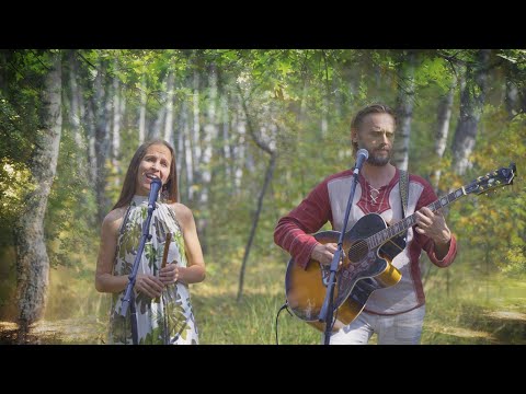 Душевная баллада в красивом лесу 🌳🌲Союз Шадровых - Человек сажал деревья