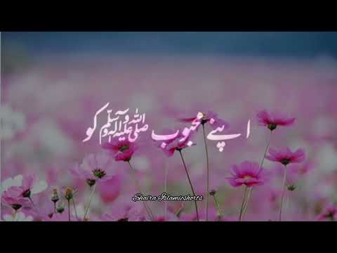 Namaz Ek Tofa Hai 🥀 | Islamic WhatsApp Status |