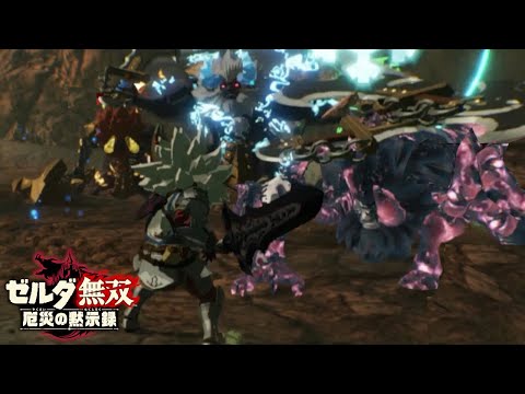 不死身リンクでライネル４体同時討伐【ゼルダ無双 厄災の黙示録】【Hyrule Warriors】