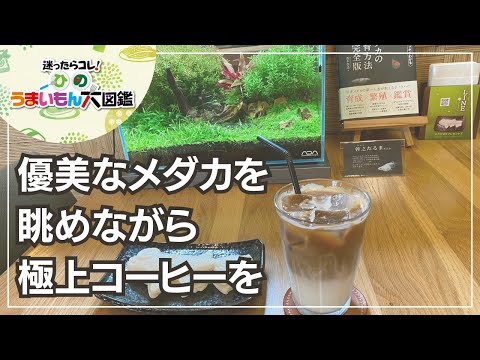 メダカフェ　～ひのうまいもん大図鑑2024～　日野市のカフェ