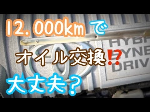 たった12.000km走行しただけだけどオイル交換した