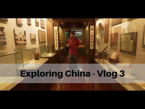 Chinese Old World Market - Vlog 3