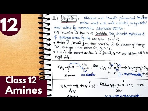 12) Alkylation and Acylation of amines| Benzoylation| Amines Class12 Chemistry #jee #neet #chemistry