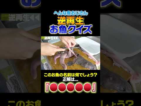 【逆再生お魚クイズ】カッタい皮膚をもつこのお魚はなんでしょう？！難易度★6   #shorts  #seafood #食テロ #asmr  ＃逆再生 #お魚クイズ