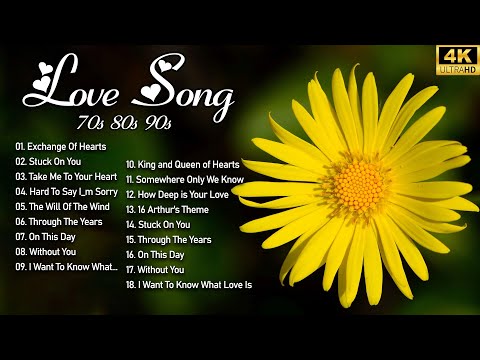 Most Beautiful Sweet Love Songs 2024 - Beautiful Love Songs About Falling In Love - Best Love Songs