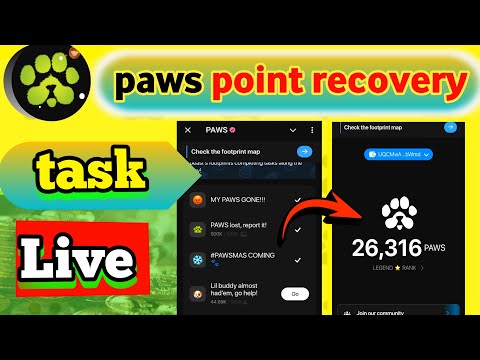 How To Get Your Stolen Paws Token Solution✅ |paws new task for poin recovery|paws mystery quest