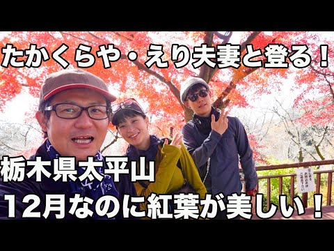 【たかくらや・えりのホームマウンテン】栃木県太平山の紅葉と玉子焼きに猛感動した！