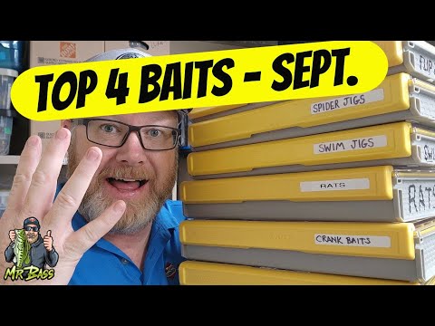 Top 4 Baits For September Bass Fishing!