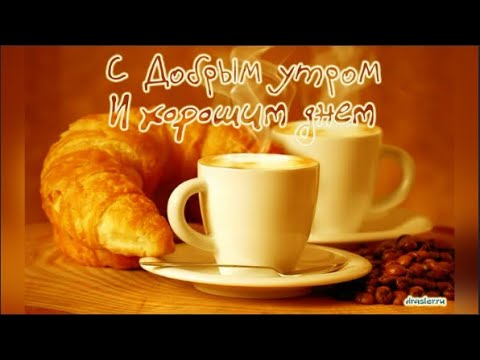 С Добрым Утром И Хорошего Дня! Красивое Юмористическое Пожелание!