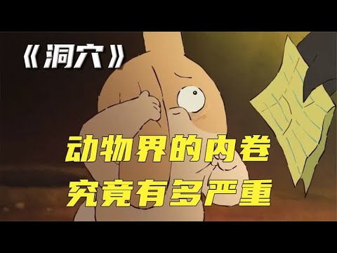 动物界的内卷！究竟有多严重《洞穴》暖心小兔子