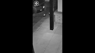 Thief Caught On CCTV Peforming Another Relay Attack!