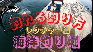 【仮屋湾遊漁センター】　この釣り方なら間違えない!!