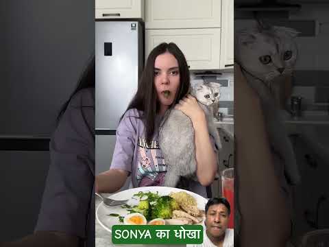 Sonya & Cat Story #sonya #cat #story #storybyrakesh