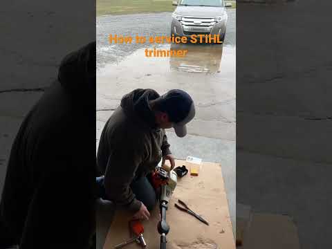 How to service STIHL string trimmer. #shorts #lawncare