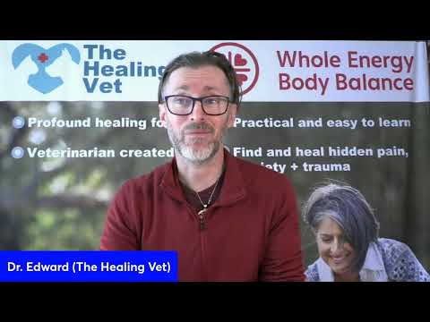 Heal the Human to Heal the Pets! Dr Edward shares how his healing journey helped his pets.