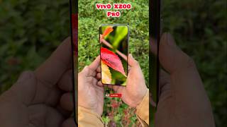 Vivo X200 Pro Zoom Test #vivo #vivox200pro #trending #shotrs