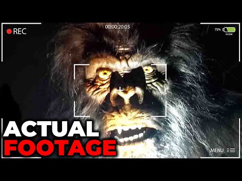 Top 25 NEW Bigfoot Videos YOU MUST SEE 2024