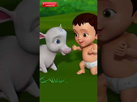 Nanna maneyalli ondu karu - Cow Song | Kannada Rhymes for Kids | Infobells #kannadarhymes #cowsong