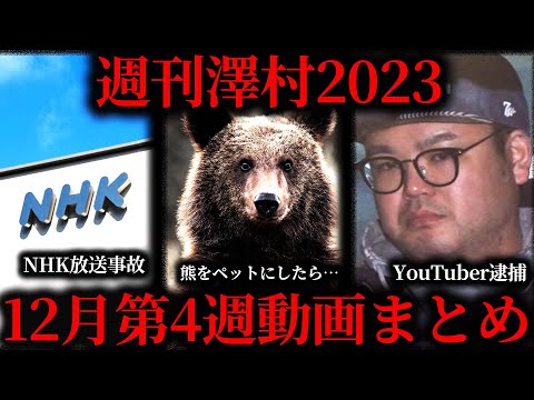 【週刊澤村2023】12月第4週たっくー動画まとめ【たっくー切り抜き】