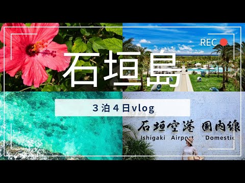 【石垣島 旅行】ユーグレナモール周辺のおすすめグルメと買い物【vlog】