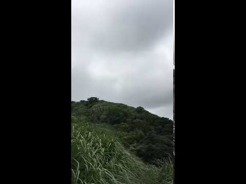 【臺灣小百岳】大屯山芒草