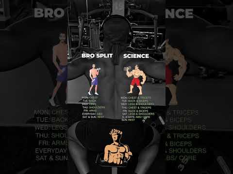 💪 Bro Split vs. Science-Based Split  #WorkoutSplit #FitnessScience #MuscleDevelopment #shorts