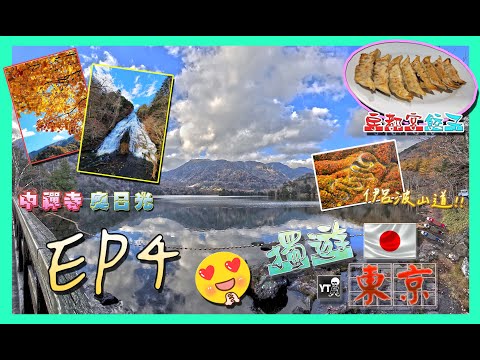 [旅行L] 😎獨遊東京 EP4🌞向栃木縣進發!! 🗾(奧日光一日遊-華嚴瀑布,中禪寺湖,龍頭瀑布,湯瀧瀑布,湯ノ湖) 必試宇都宮名物餃子🥟,再訪新宿-久違了的雙份吉列牛🐂🐂)#travel#japan