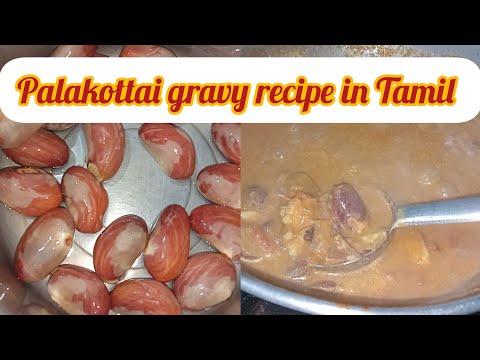 palakottai gravy recipe in tamil | பலாக்கொட்டை கிரேவி  @sutharsanalifestyle308