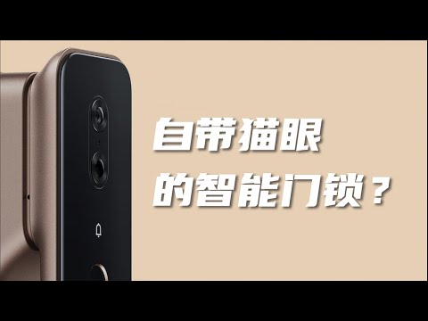 HomeKit平台最好用的智能门锁｜Aqara H100 全自动智能猫眼门锁