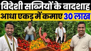 लाल पीली शिमला मिर्च से लाखों का PROFIT💯🤑22 एकड़ में की Exotic Vegetables की खेती😱🔥Indian Farmer