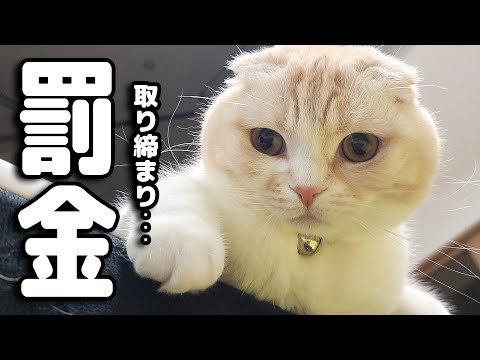 犬のふん放置でDNAで取り締まり...