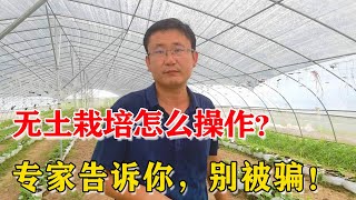 挖个沟就能做无土栽培？农户别被误导了【付老师种植技术团队官方频道】