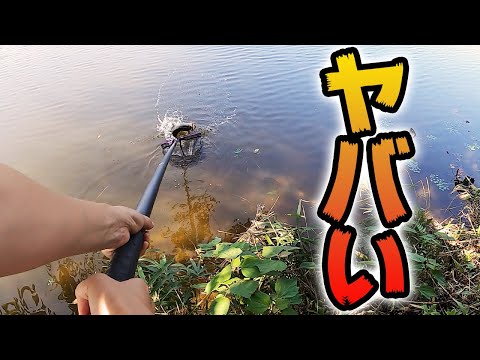 【バス釣り】木に引っ掛かったルアーで釣れると焦る