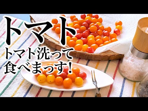 トマト🍅🍅🍅トマト洗って食べまっす！、ASMR、生活音、咀嚼音、聖書