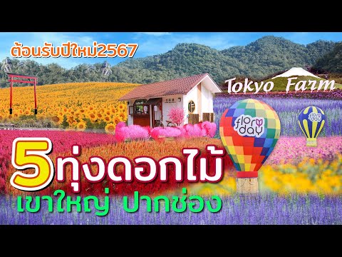 5 ทุ่งดอกไม้สุดสวยงาม ที่เขาใหญ่ ปากช่อง ต้อนรับปีใหม่2567  ที่ไม่ต้องไปไกลถึงภาคเหนือ  มีที่ไหนบ้าง