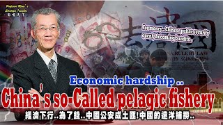 StrategyInsights Ep18:CCP's Called pelagic fishery.. public security openly becomes bandits