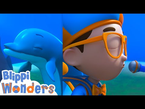 Blippi learns to speak with Dolphins! | Blippi Wonders Educational Videos for Kids