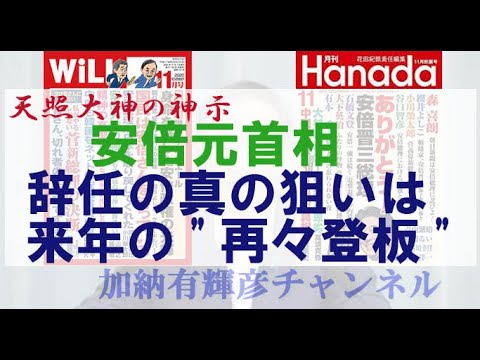 ーリリーフ・煙幕としての菅政権　このままでは１ダースの神罰が待っている『天照大神の神示』ー