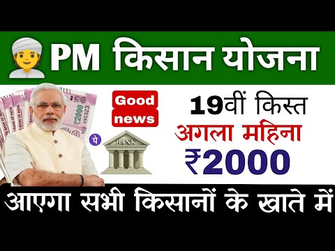 pm kisan saman nidhi yojana 19th instalment date 2024 | pm kisan 19th instalment kab aayega 2025