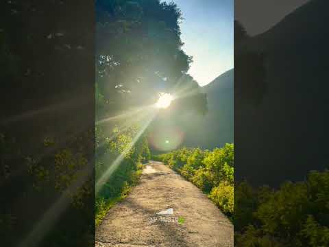 Falak Tak - Violin Version || Sri Lankan Nature || Sunset 🤍🌿