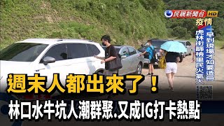 週末人都出來了 林口水牛坑又成IG打卡熱點－民視台語新聞