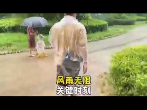 可放皮夾裡的卡片雨衣