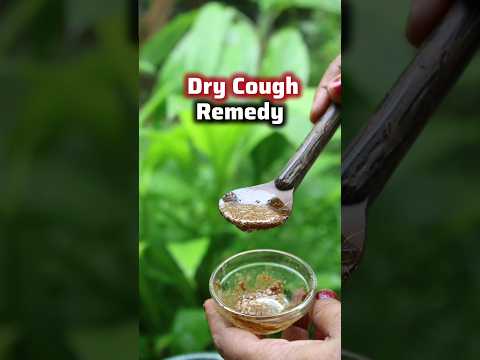 Ep-64 of Vedic Recipes (Mulethi)💥Ayurvedic home remedy for Dry Cough #shorts