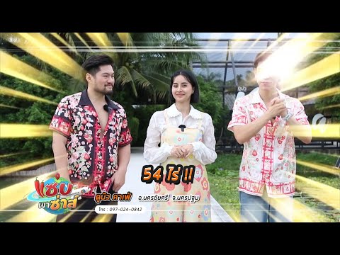 ดูบัวคาเฟ่ l ออกอากาศวันที่ 11 ธันวาคม 2567